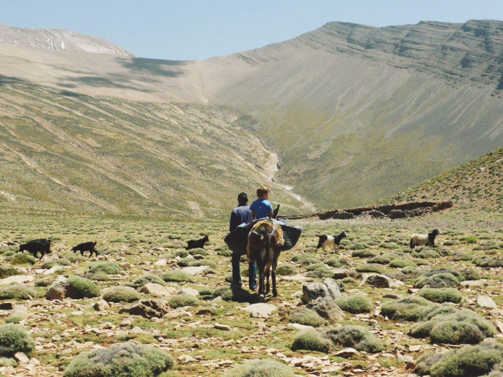 Donkey tour in the Ait Bougmez Valley