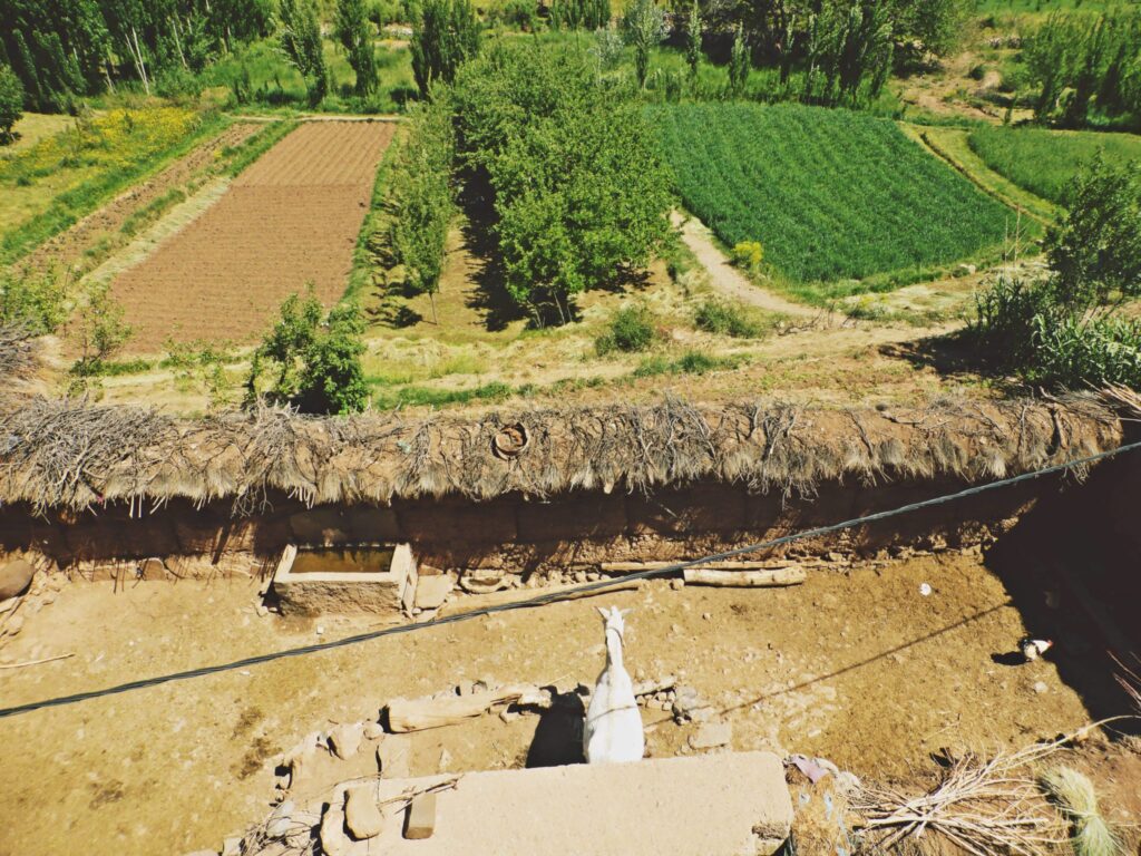 Birds view on fields of Ait Bougmez valley